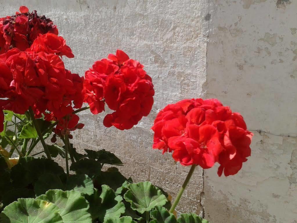 Borgo San Martino Ξενοδοχείο Μπρα Εξωτερικό φωτογραφία